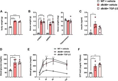 Behavioral defects and downregulation of hippocampal BDNF and nNOS expression in db/db mice did not improved by chronic TGF-β2 treatment